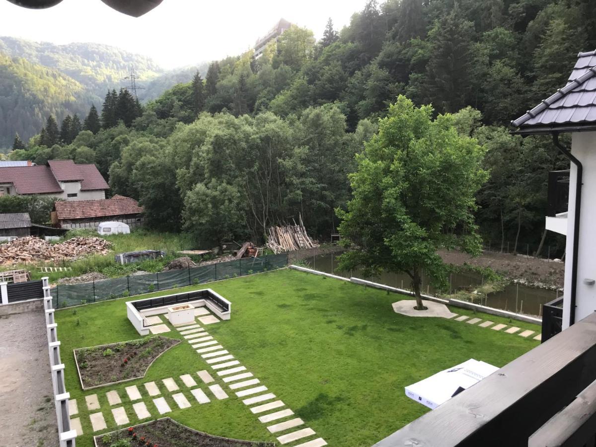 Pensiunea Edelweiss Войняса Екстер'єр фото