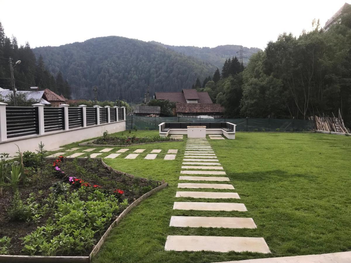 Pensiunea Edelweiss Войняса Екстер'єр фото