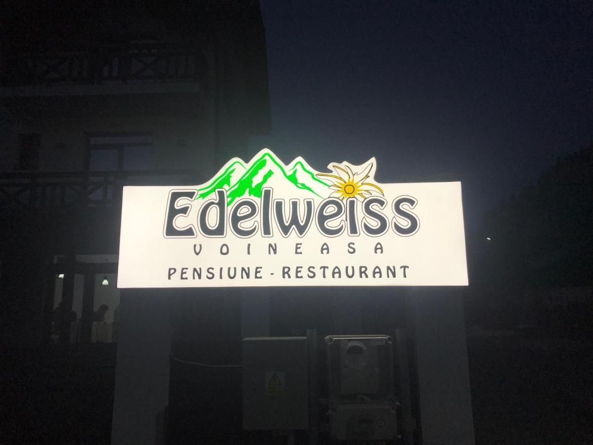 Pensiunea Edelweiss Войняса Екстер'єр фото